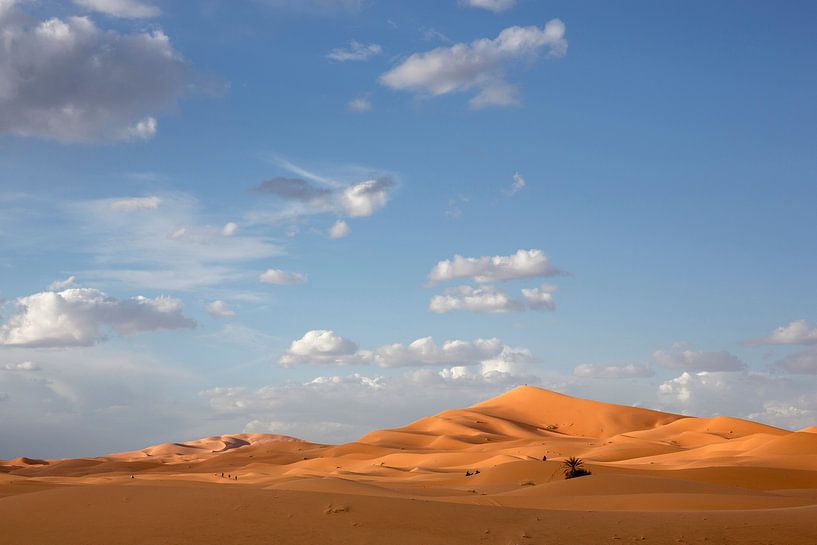 Overweldigende prachtige zandduinen in de Sahara in Merzouga, Marokko, Afrika van Tjeerd Kruse