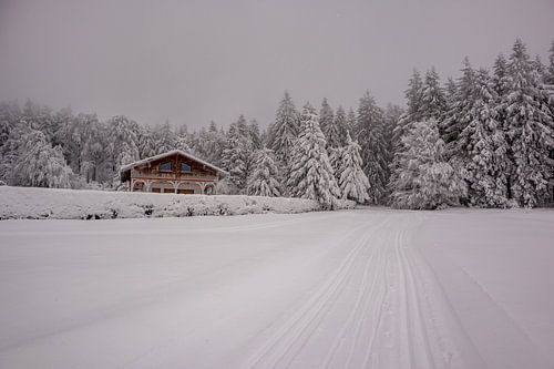 Korte winterwandeling in het besneeuwde Thüringer Woud bij Floh-Seligenthal - Thüringen - Duitsland