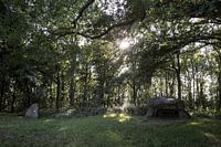 Hunebed G1 near Noordlaren, Groningen