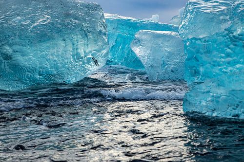 Landschap IJsland, Jökulsárlón en Diamant Beach