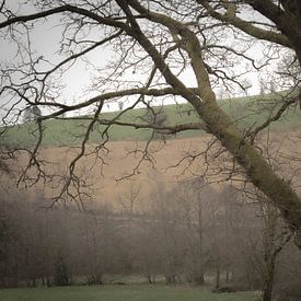 Paysage de l'Est de la Belgique sur Marita Helene Eichten