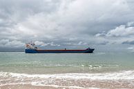 Vrachtschip Nicole. van Don Fonzarelli thumbnail