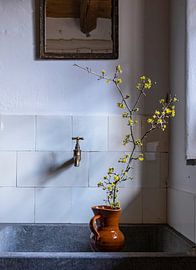 Oud Hollands stilleven (gezien bij interieurtalent gezocht met vtwonen) van Affect Fotografie