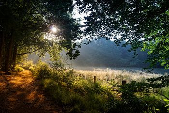 The rising sun on a beautiful early morning in spring.