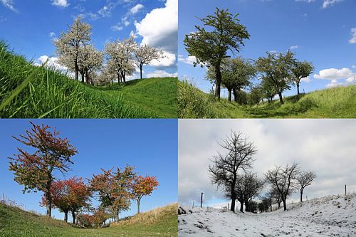 Vier Jahreszeiten
