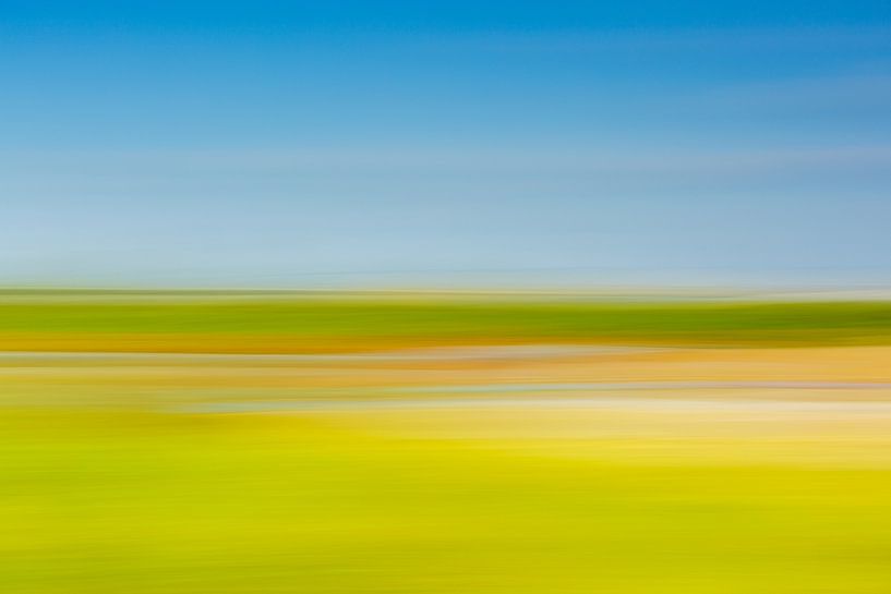 Land of confusion1 by René Roos