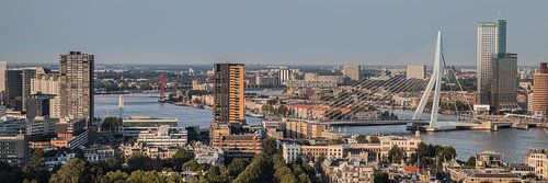 Rotterdam Skyline (kleur)