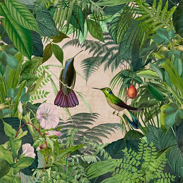 Hummingbirds tropical garden