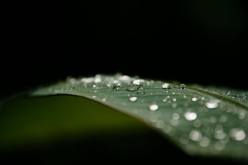 Drop by drop by Dominique Rörtgen Fotografie