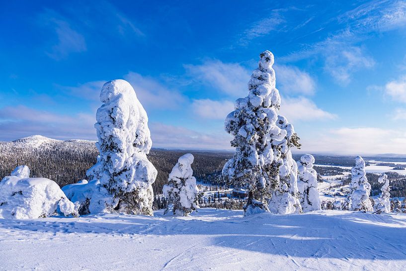 Landschap met sneeuw in de winter in Ruka, Finland van Rico Ködder