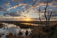 Sonnenuntergang im Doldersummerveld