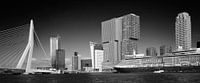 Manhattan aan de Maas #1