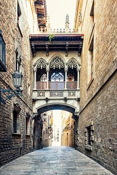 Pont del Bisbe sur Manjik Pictures