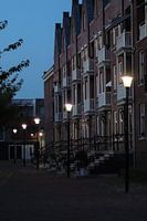 Evening Light