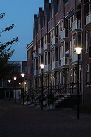 Lumière du soir sur Monica de Roo-Peeters