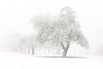 Winter van Jana Behr