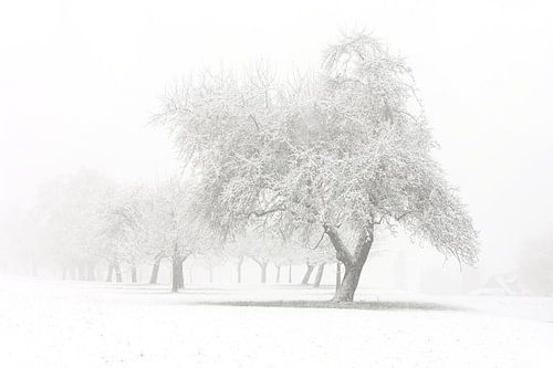 Winter van Jana Behr