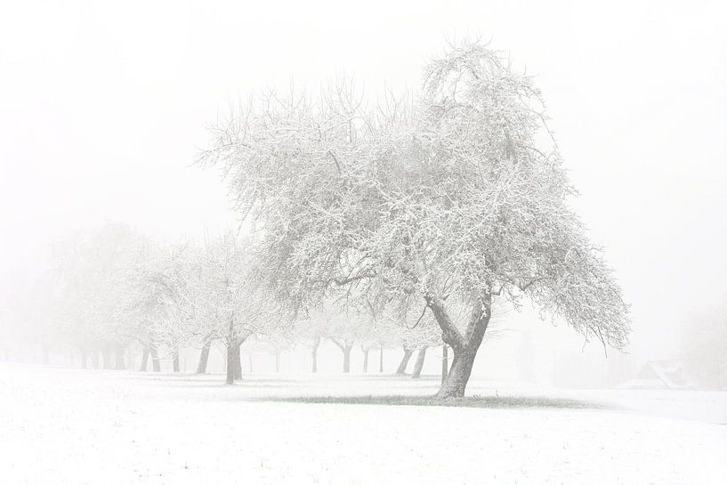 Winter van Jana Behr