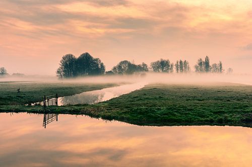 Zonsopkomst in de polder