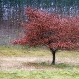 Around an oak tree by Karin de Jonge