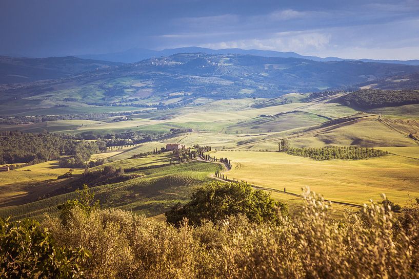 Valei in Toscane par Anneke Hooijer