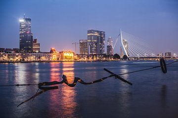 Erasmusbrug, Rotterdam von Stefan Lucassen