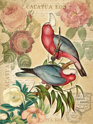 Thuis in het paradijs