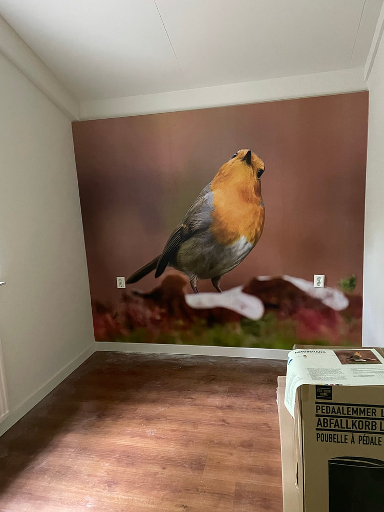 Der Robin
