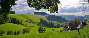 Schwarzwald 1.0