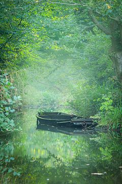 Verlassenes Boot II von Thijs Friederich