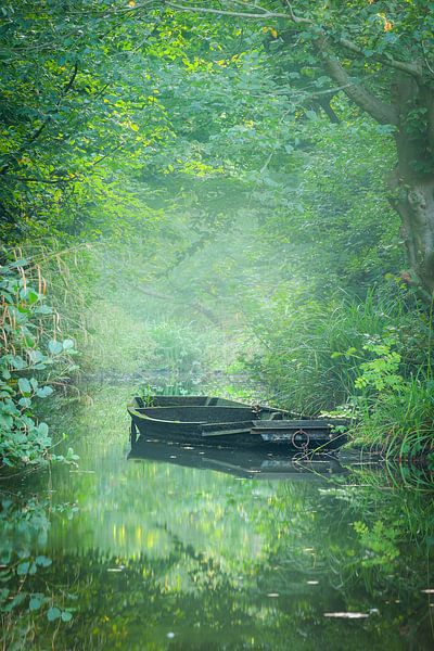 Verlassenes Boot II von Thijs Friederich