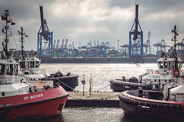 Sleepboot haven van Hamburg van Der HanseArt