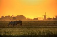 Sonnenaufgang in den Niederlanden von Stephan Neven Miniaturansicht