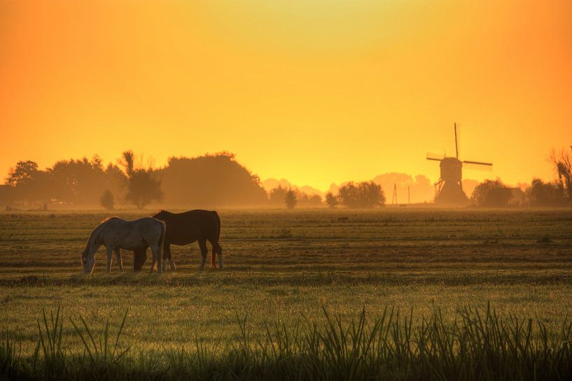 Sonnenaufgang in den Niederlanden von Stephan Neven