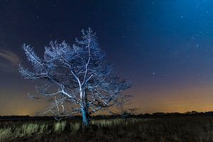 Nachtfotografie op de Groote Heide, Nederland