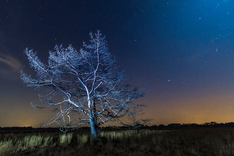 Photographie nocturne sur la Groote Heide, Pays-Bas par Easycopters
