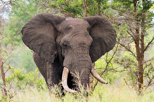 Großartig in der Ruhe