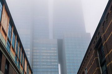 De Rotterdam in de mist van Ilya Korzelius