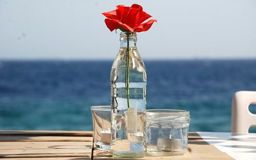Rose in a bottle