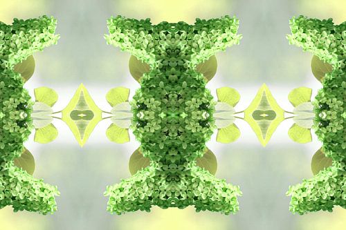 Seringenfantasie lente II