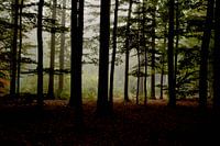 Herfst