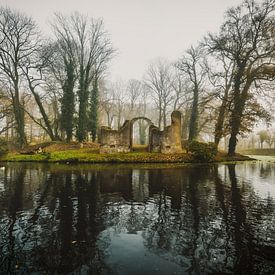 Ruïne Toutenburgh Stadspark Old Ruitenborgh Vollenhove in de mist van R Smallenbroek