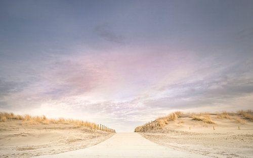 Pastelkleurige Namiddag . 