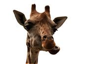 Giraf portret van Jojanneke Vos thumbnail