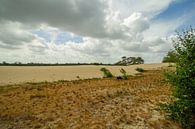 Loonse en drunense duinen met zon door de wolken van Marco Leeggangers thumbnail