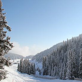 Winters dal in Zwitserland sur Patsy Van den Broeck