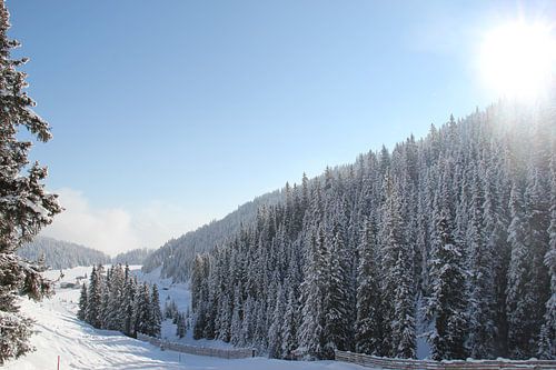 Winters dal in Zwitserland