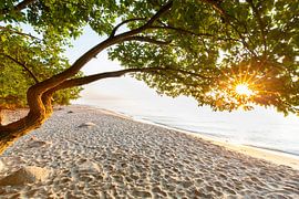 Plage de la mer Baltique en Suède sur Sven-Erik Arndt