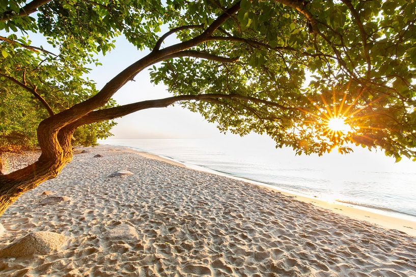 Ostseestrand in Schweden von Sven-Erik Arndt