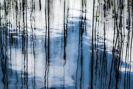 Ich habe immer noch den Blues für dich von Marieke van der Doef